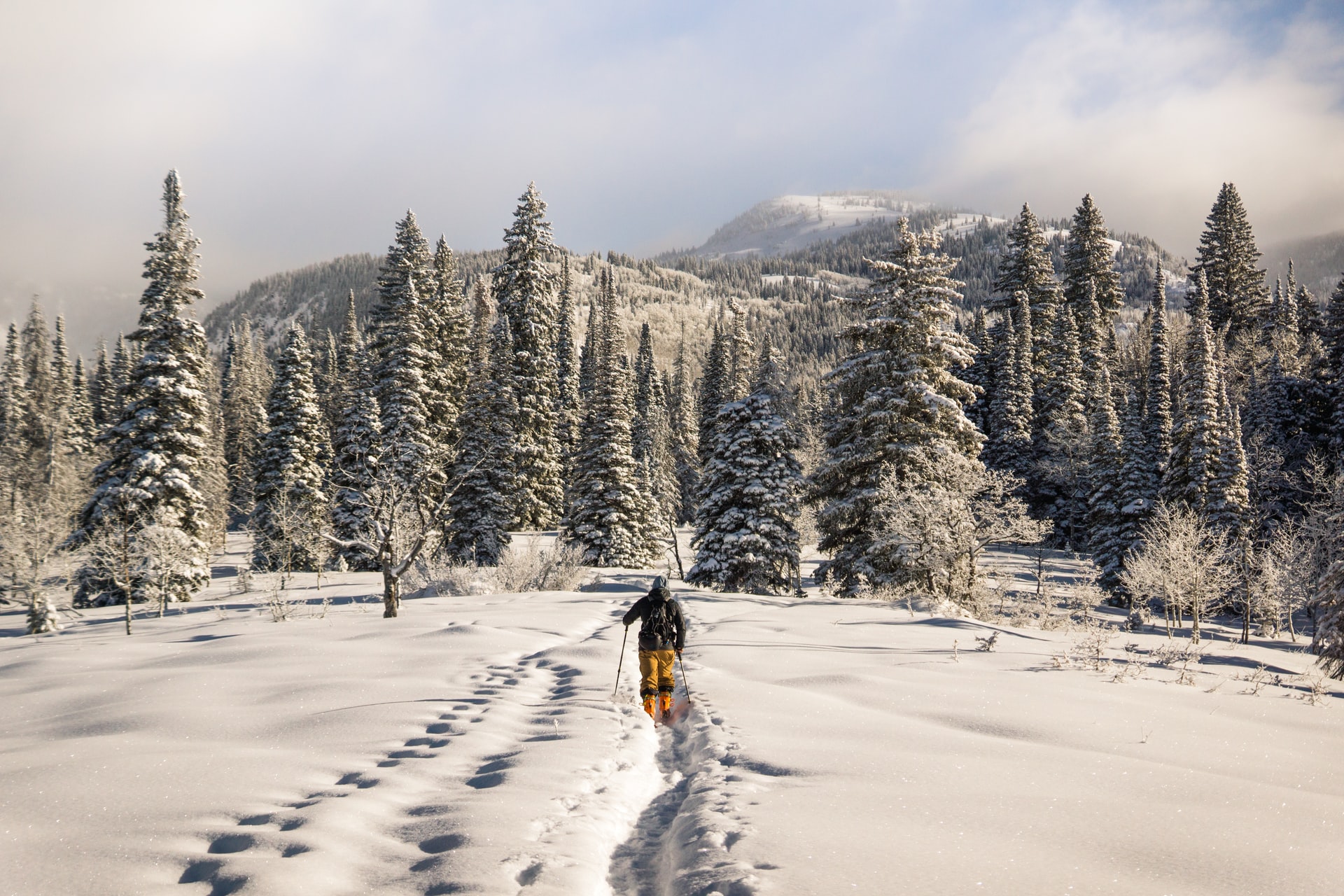 Mesures économiques exceptionnelles en faveur des acteurs de la montagne