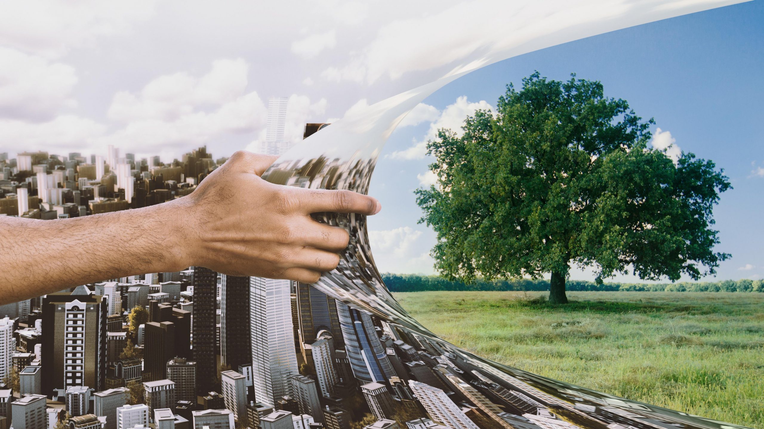 Une stratégie économique durable pour les cinq prochaines années