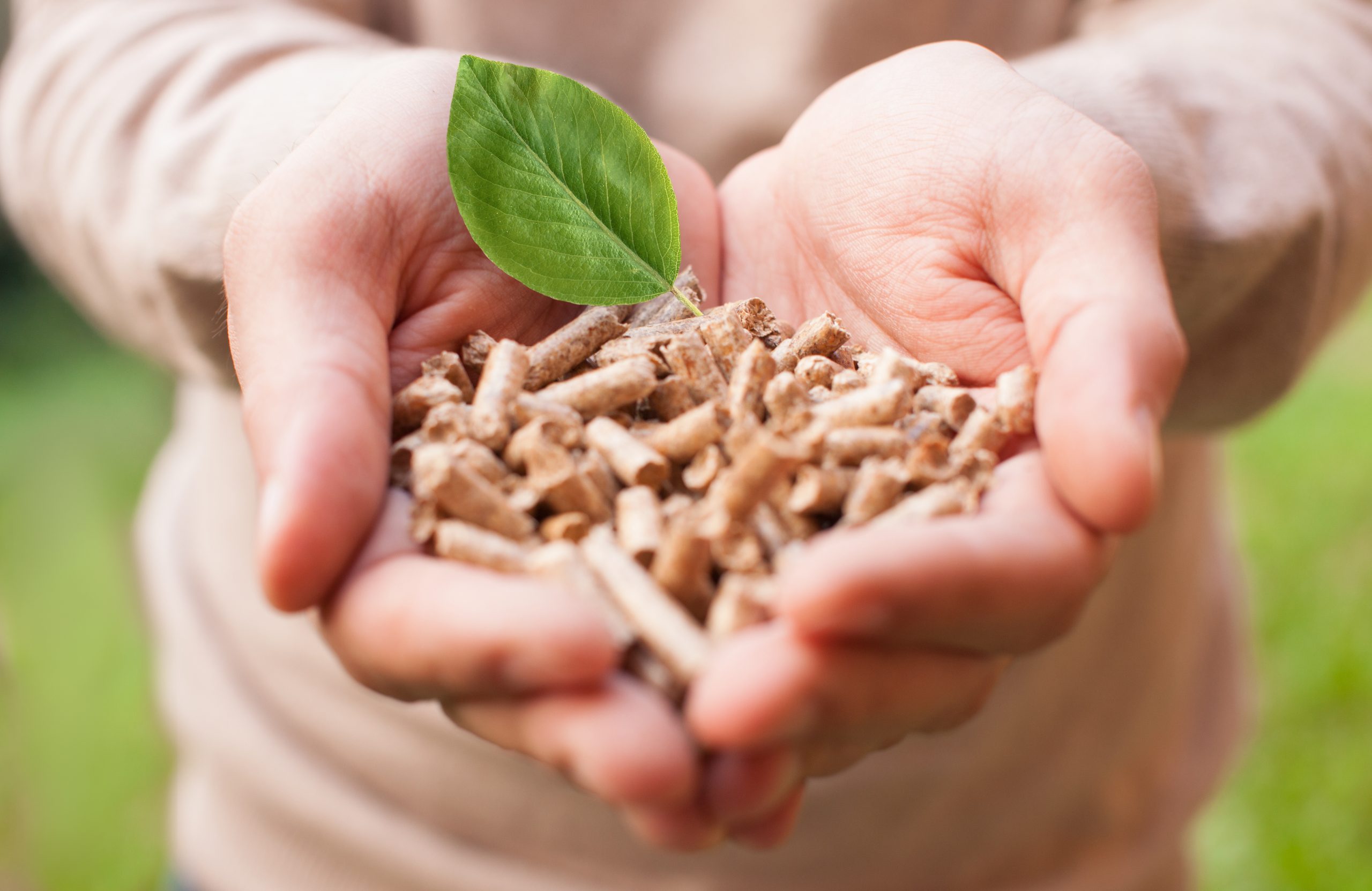 Un appel à projets pour soutenir les produits biosourcés et les biotechnologies