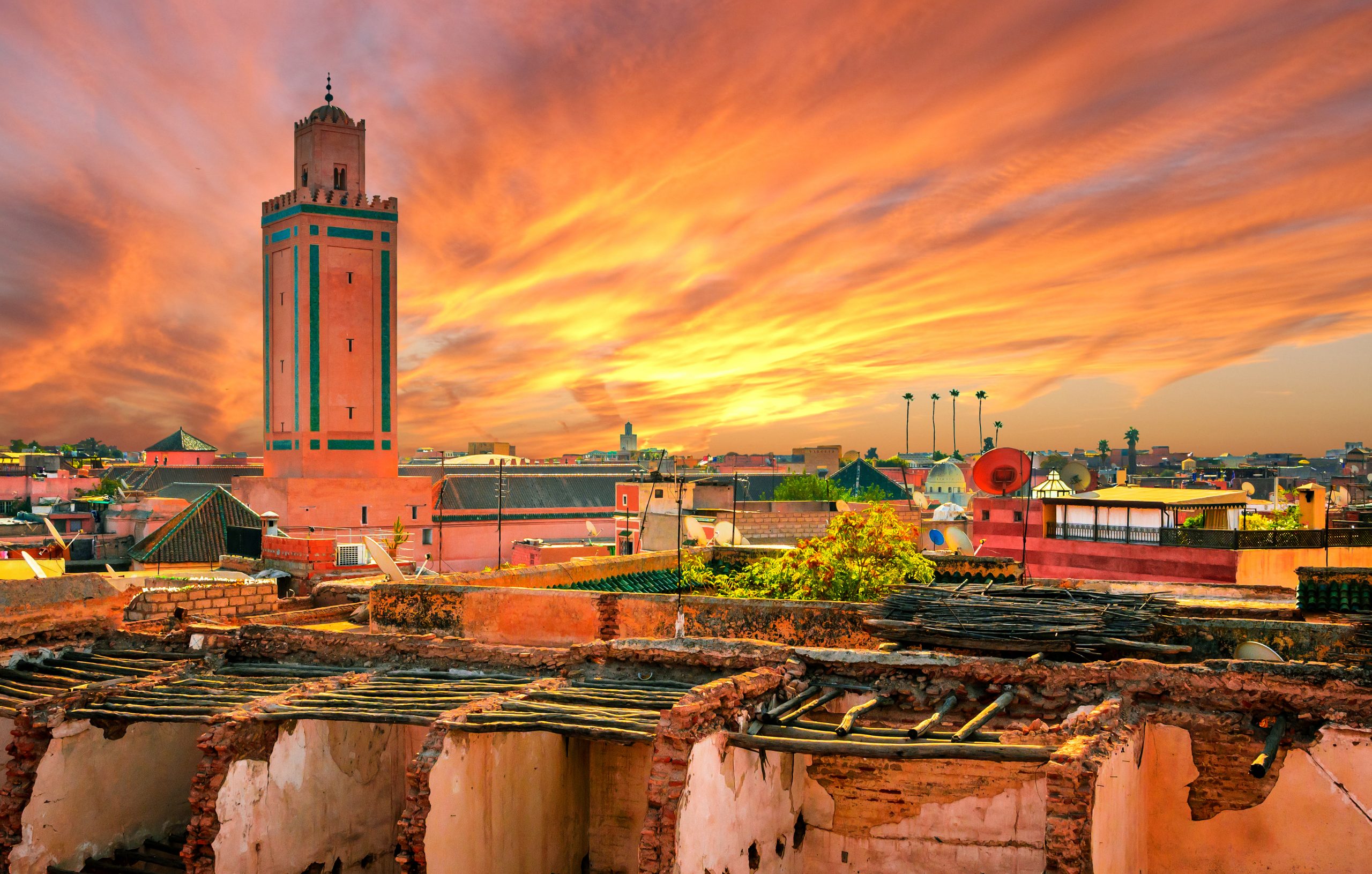 Candidatez au programme digital PROGRESS MAROC 2022 avec la Région Sud