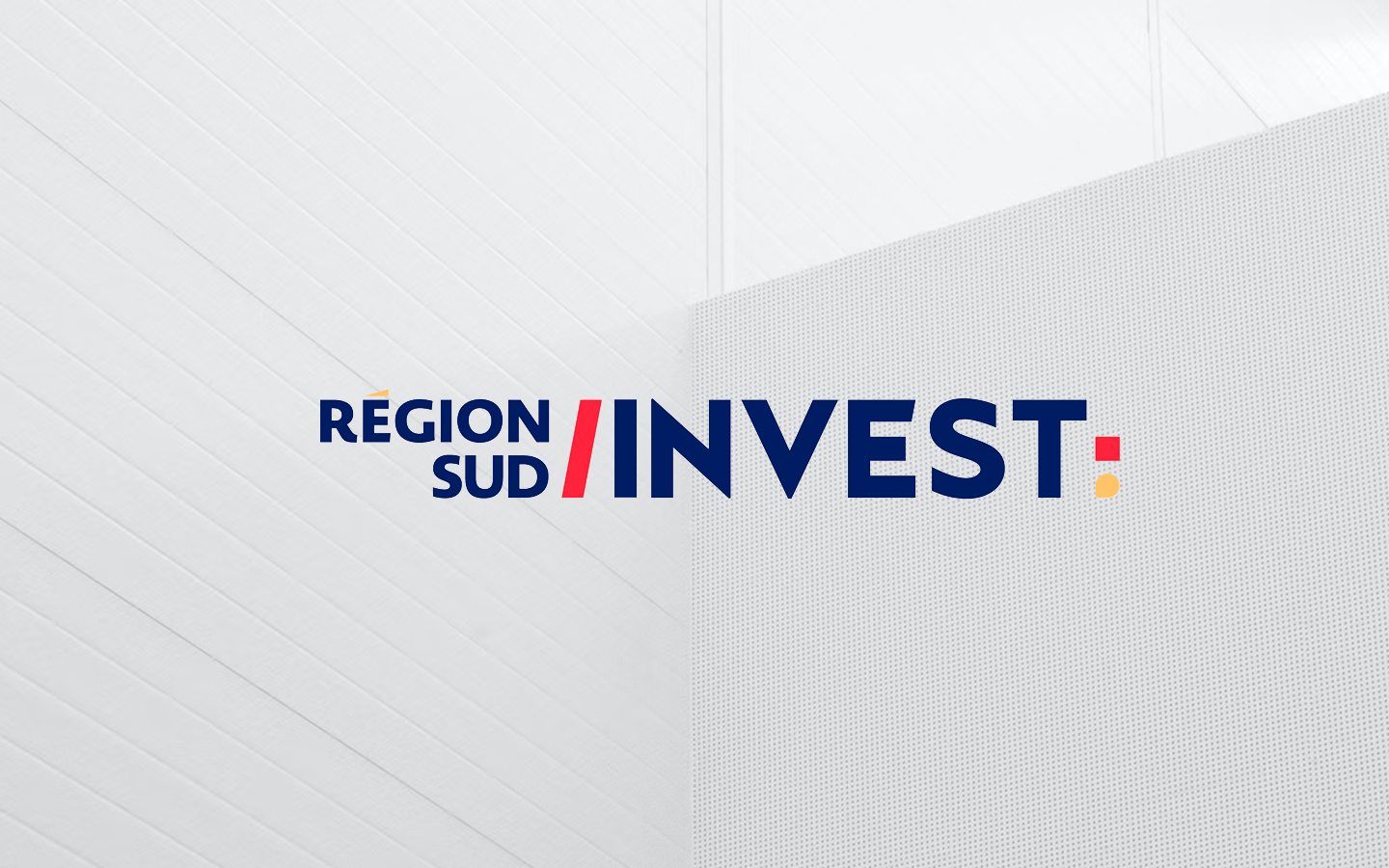 Région Sud Investissement (RSI)