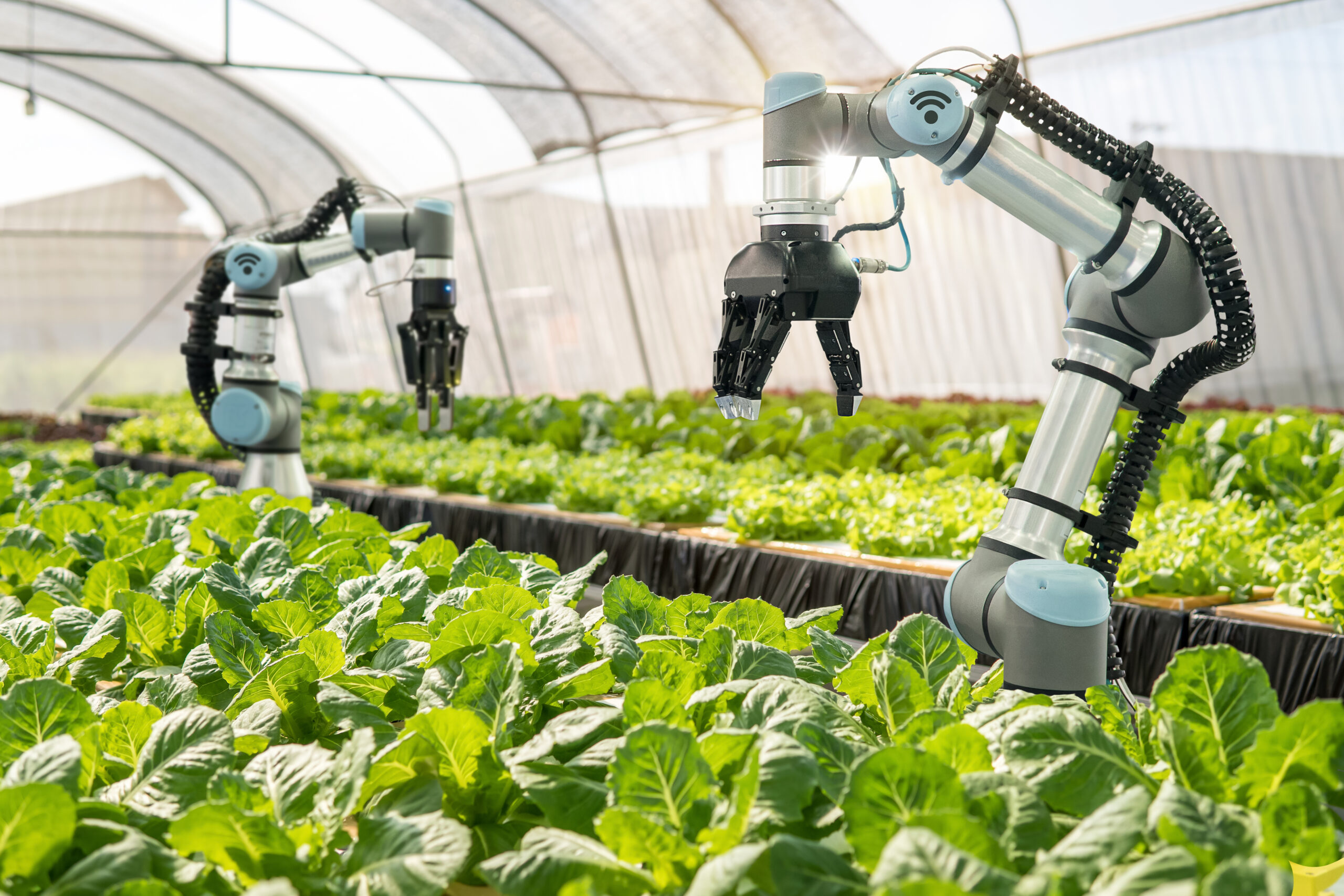 Appel a projets FASEP 2023 : “agriculture et alimentation durables”