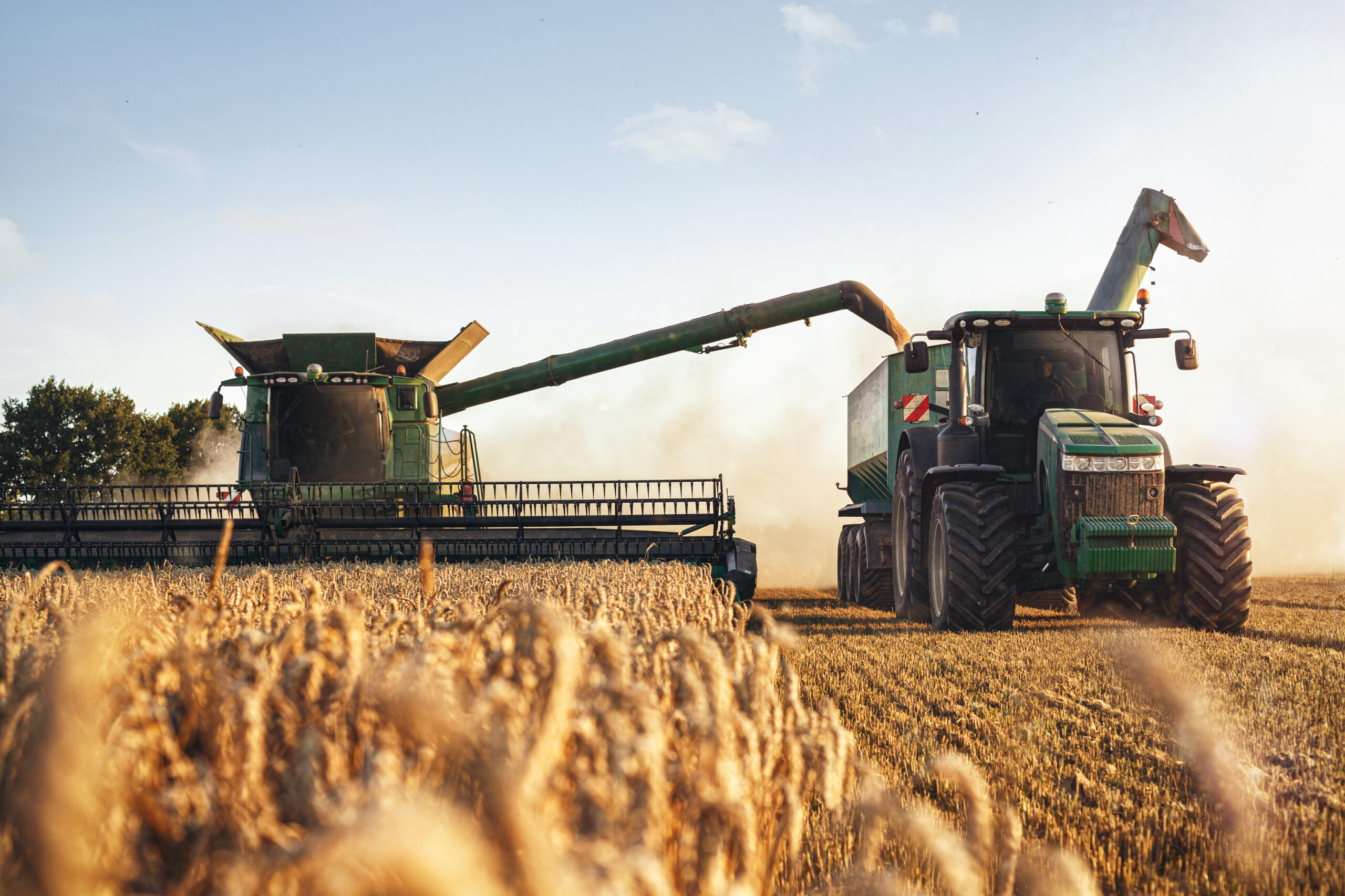 Participez au Salon International de l&rsquo;Agriculture Paris 2024 avec la Région Sud