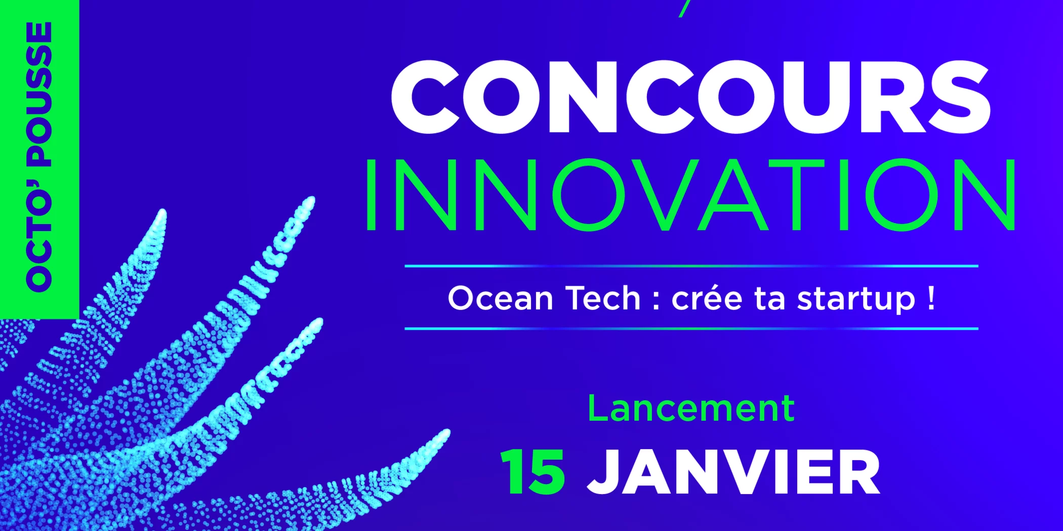 Participez au concours Octo&rsquo;pousse 2024 afin de boostez votre projet d&rsquo;innovation en lien avec l&rsquo;océan