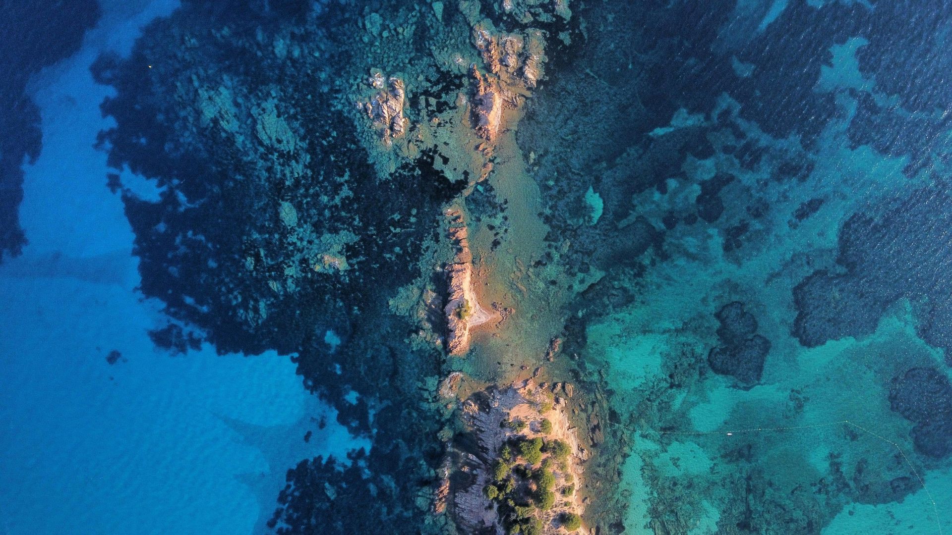 Promouvoir l’emploi bleu auprès des populations du territoire du GALPA Côte d’Azur (Groupe d’Action Locale Pêche et Aquaculture)